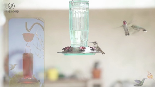 Kingsyard 16-oz Glass Hummingbird Bird Feeder with Ant Moat, 2 count