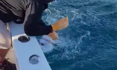 Fishing with Juan Alfredo