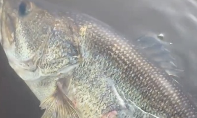 Clewiston Verslag Video 0