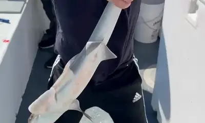 Beautiful fishing day