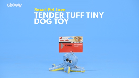 Play Video: Learn More About Smart Pet Love From Our Team of Experts
