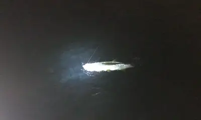 Miami Report Video 0