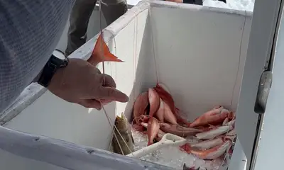 Destin Report Video 0