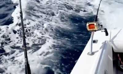 U.S. Virgin Islands Report Video 3