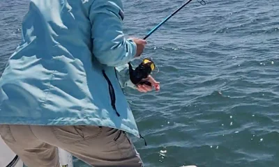 Folly Beach Report Video 1