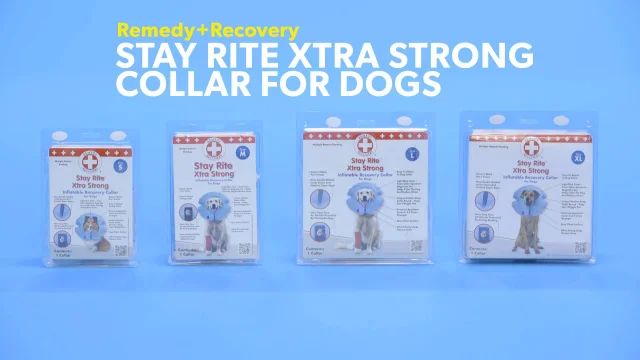 Blue Remedy Recovery Stay Rite Xtra Strong Inflatable Recovery Dog Collar 