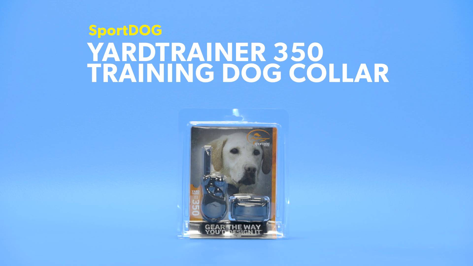 Sportdog 300 best sale yard trainer