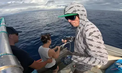 Haleiwa Report Video 0