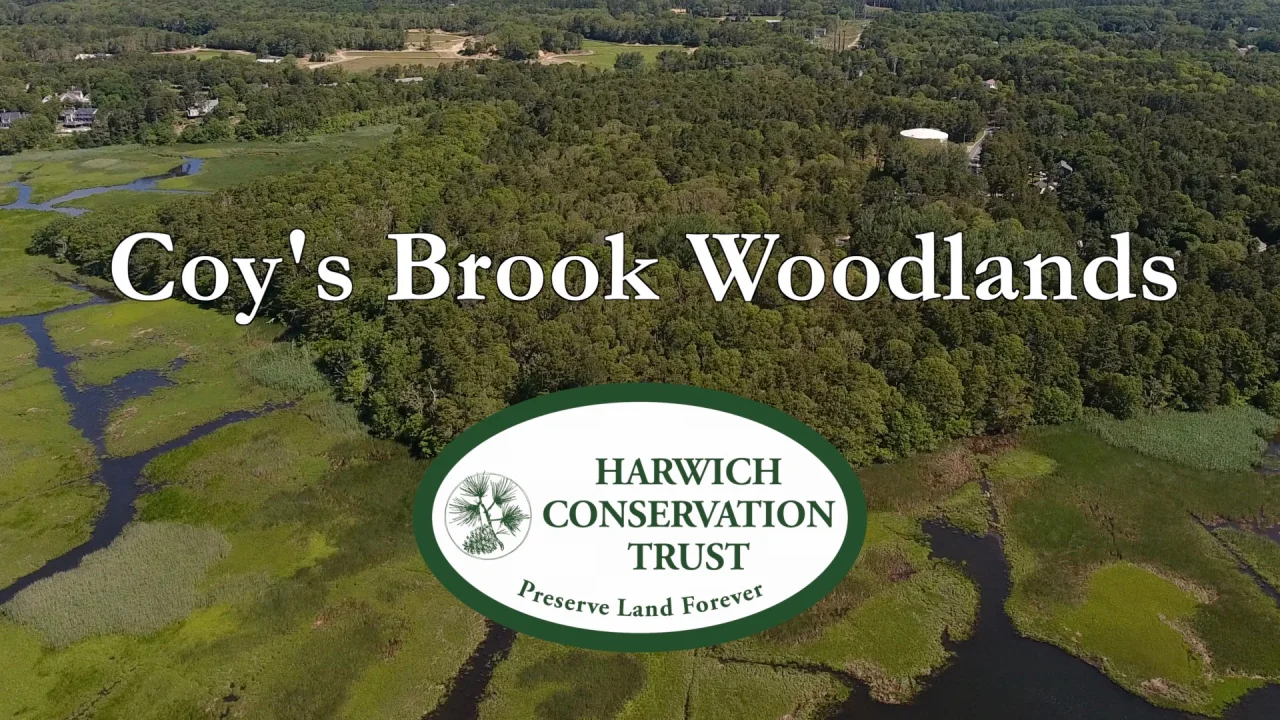 Coy's Brook Woodland Trail