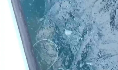 Fort Lauderdale Report Video 1