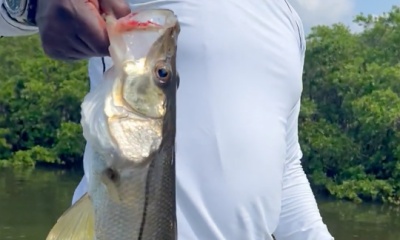 Tampa Report Video 0