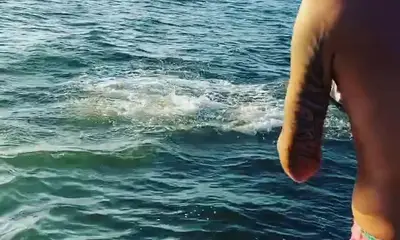 St. Petersburg Report Video 0