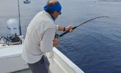 San Jose del Cabo Report Video 0