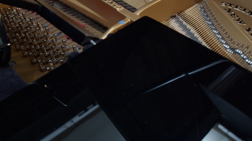 1925 Steinway Grand D