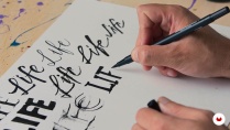 Lesson image