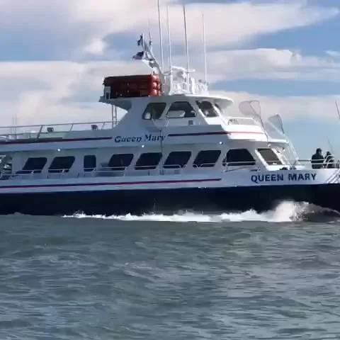 Business Card: Queen Mary Open Boat & Charters