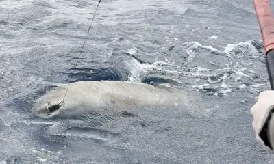 Fishing with Michael