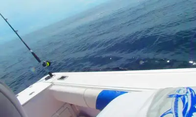 Panama City Report Video 0