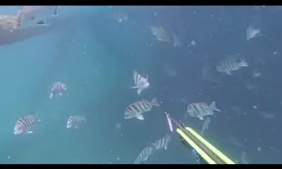 Virginia Beach Report Video 0