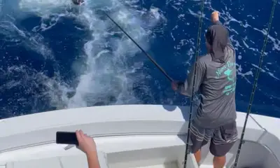 Pompano Beach Report Video 0