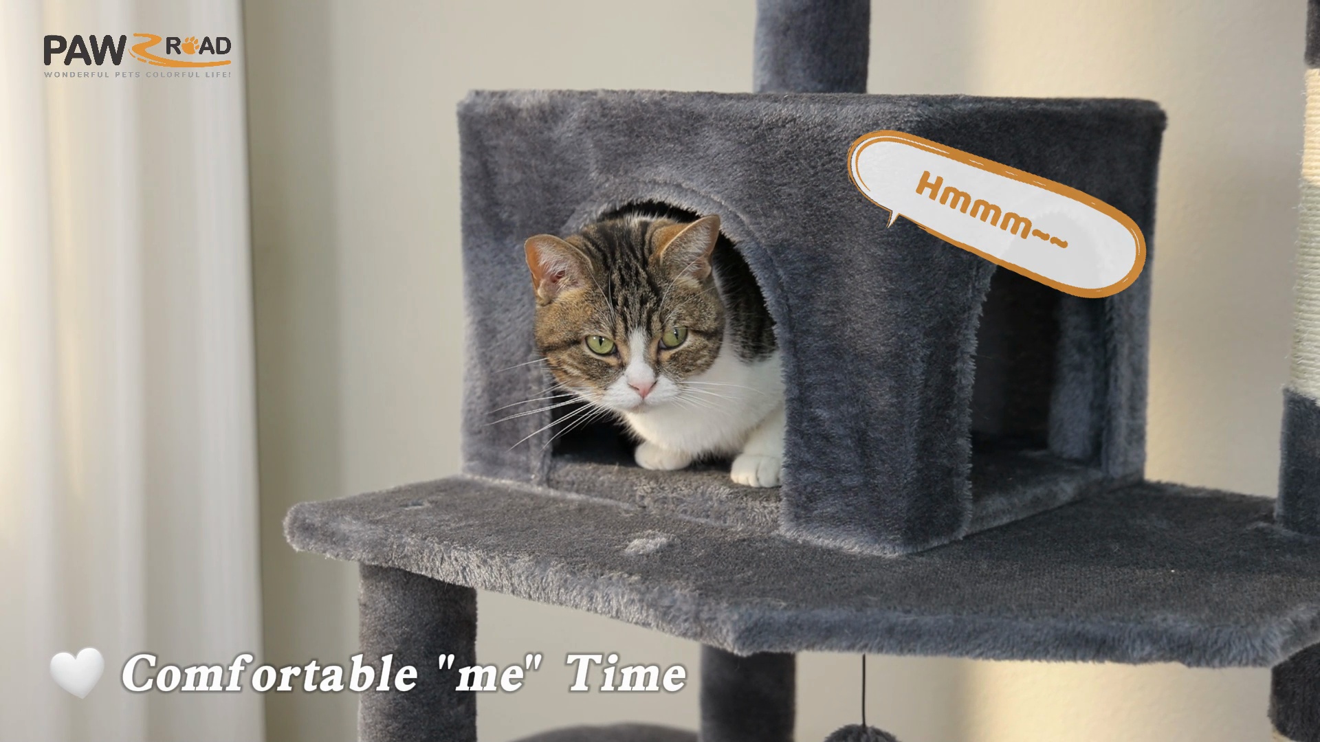 PAWZ ROAD 72-in Large Hammock Fleece Cat Tree & Condo, Large