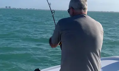 Bonita Springs Video Report 0