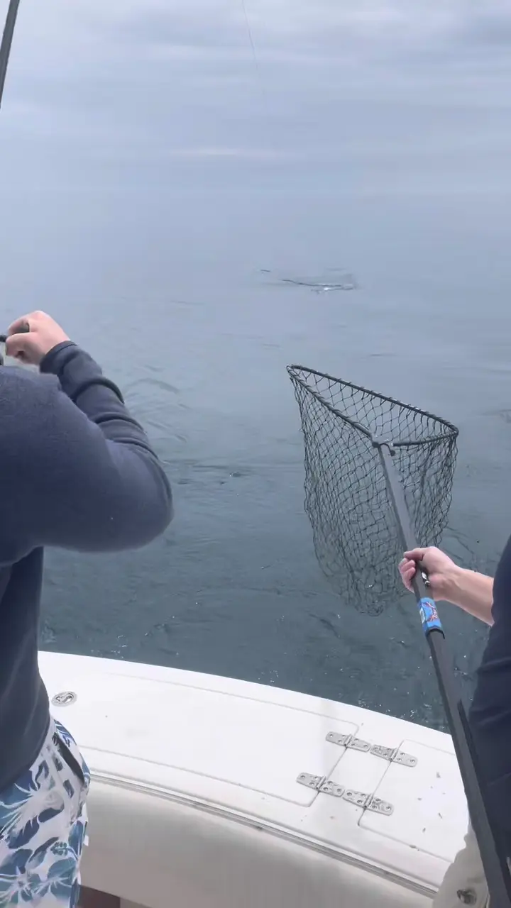 Business Card: Hook?d On Fishing Charters, Inc