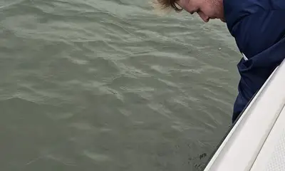 Hilton Head Island Report Video 0