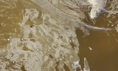 Hot redfishing 