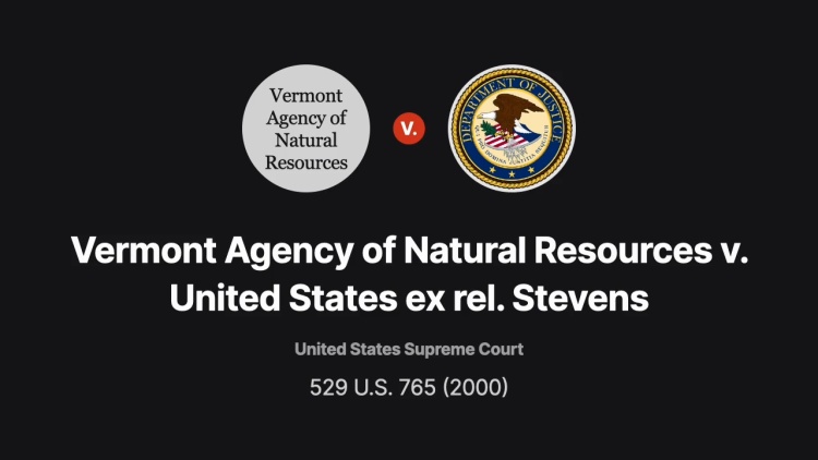 Vermont Agency of Natural Resources, Petitioner, v. United States ex rel. Stevens