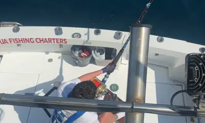 Faro District Video Report 2