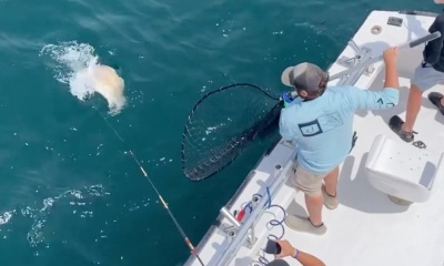 Nags Head Report Video 1