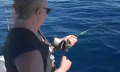 San Jose del Cabo Report Video 0