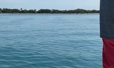 Sarasota Report Video 1