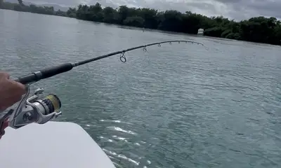 San Juan Report Video 0