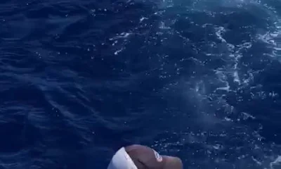 Punta Cana Report Video 1