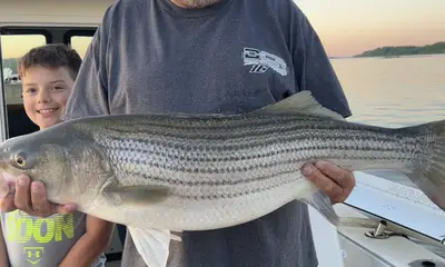 Saugerties Report Video 0