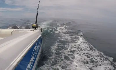 Panama City Report Video 1