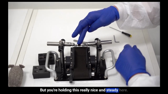 Preparing a Mouse for the Treadmill, in vivo imaging with LSM 980