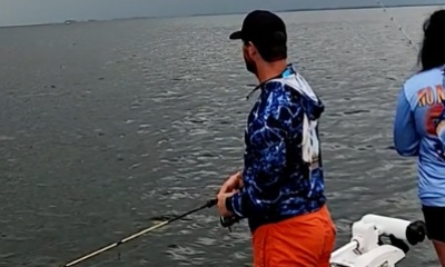 Crystal River Report Video 0