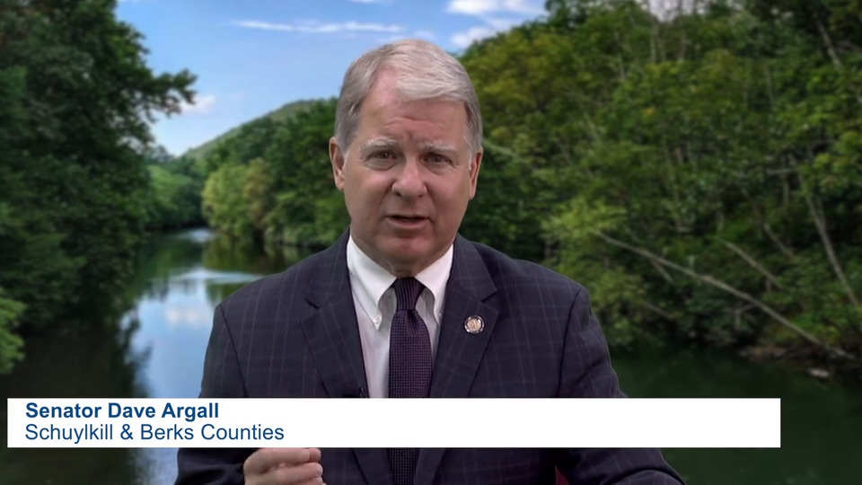 Argall Report Opening 