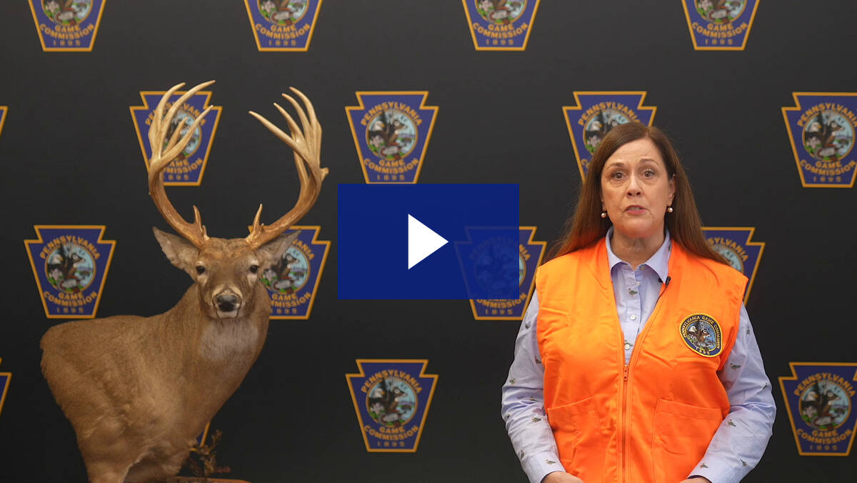 Hunting Safety PSA