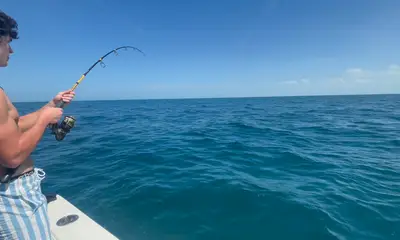 Caught a tiger shark along with an abundance of fish we brought home!