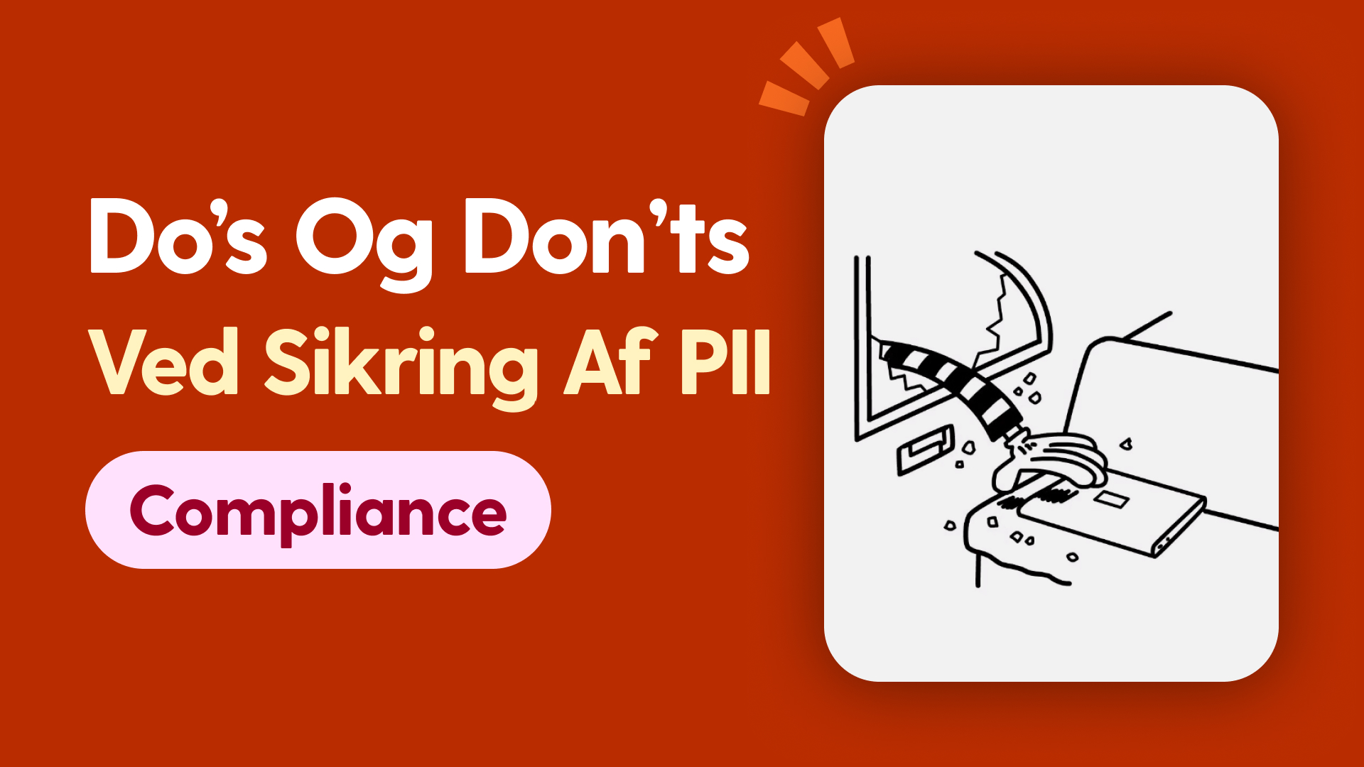 Do’s og Don’ts ved sikring af PII