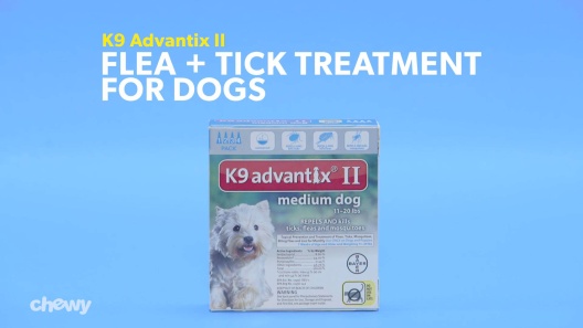 Play Video: Learn More About K9 Advantix II From Our Team of Experts