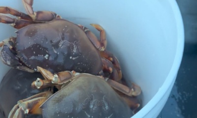 Look no further, Oliver is your guy \ud83d\udcaf%