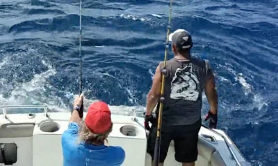 Cabo San Lucas Report Video 0