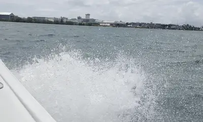 Great boat ride! 