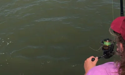 Venice Report Video 0