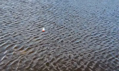 South Bay Report Video 0